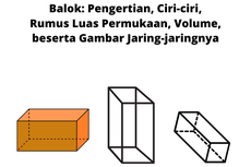 Balok: Pengertian, Ciri-ciri, Rumus Luas Permukaan, Volume, beserta Gambar Jaring-jaringnya