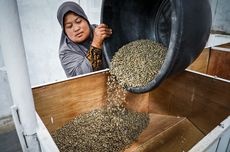 Petani Kopi Aceh Tengah Keluhkan Masalah Ekspor, Ini Solusi dari Teten Masduki