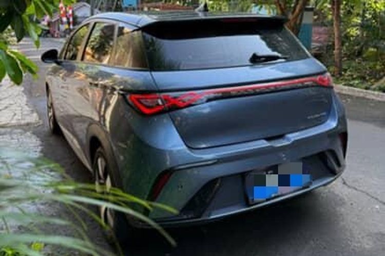 Pengalaman kepemilikin BYD Dolphin selama satu tahun