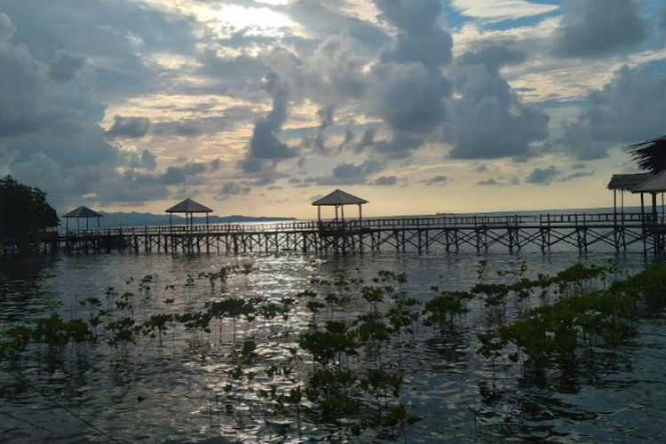 Wisata Mangrove Bebanga, Mamuju