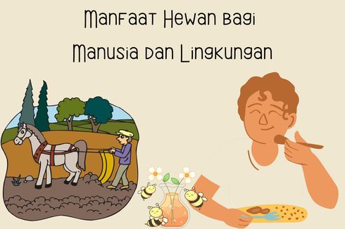 Manfaat Hewan bagi Manusia dan Lingkungan