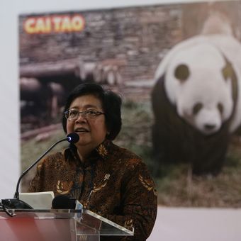 Menteri Lingkungan Hidup dan Kehutanan Siti Nurbaya Bakar memberikan sambutan saat acara penyambutan kedatangan sepasang panda (Ailuropada melanoleuca) hasil pengembangbiakan China Wildlife Conservation Association (CWCA) dengan nama Cai Tao (jantan) dan Hu Chun (betina) di Terminal Kargo Bandara Soekarno-Hatta, Tangerang, Banten, Kamis (28/9/2017). Indonesia secara resmi menjadi negara ke-16 di dunia dan negara ke-4 di Asia Tenggara yang mendapatkan peminjaman pengembangbiakan Giant Panda.