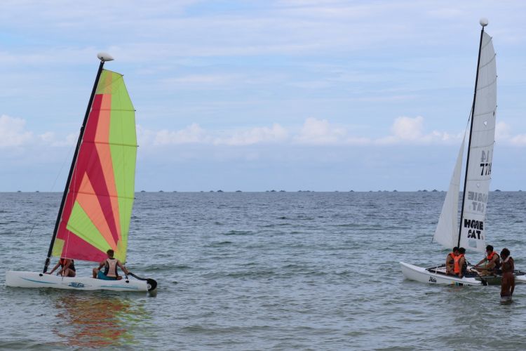 Sailing atau berlayar di pantai Lagoi Bintan bisa bebas dilakukan wisatawan sejak pagi dan sore hari di Club Med Bintan, yang merupakan salah satu fasilitasya.