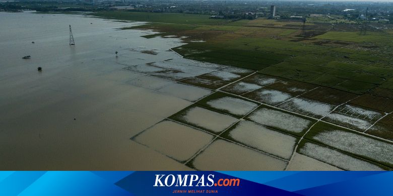 Ramalan Megawati: Indonesia Terancam Kelaparan