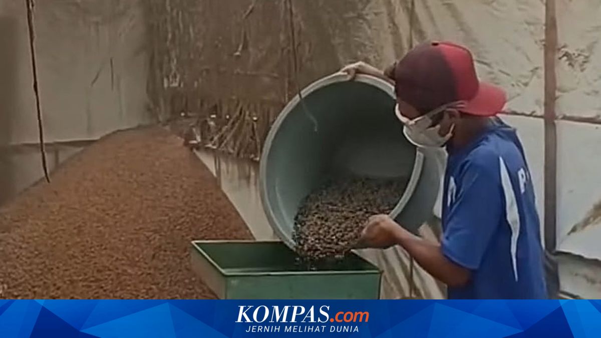 Jelang Panen, Petani Kopi Kabupaten Semarang Khawatir Ekspor Terdampak Konflik Iran-Israel ~TR

Klik untuk baca: