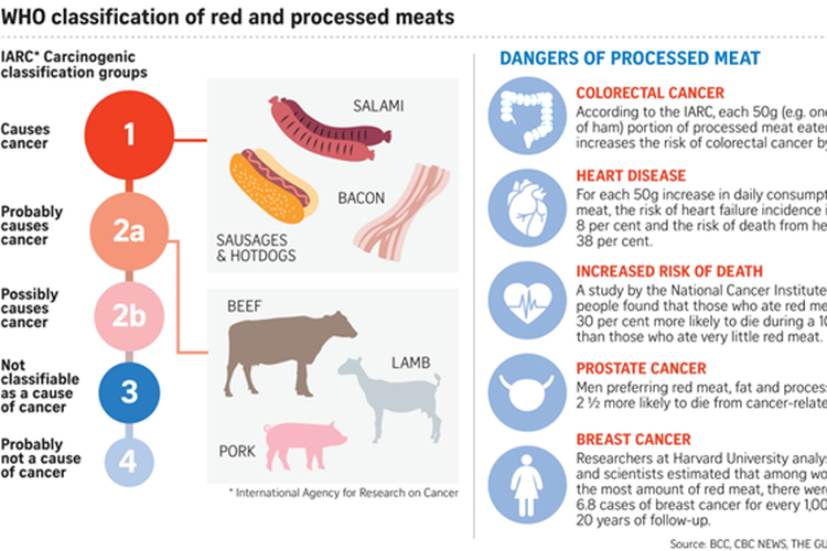 Klasifikasi Makanan / Daging Merah yang Diproses