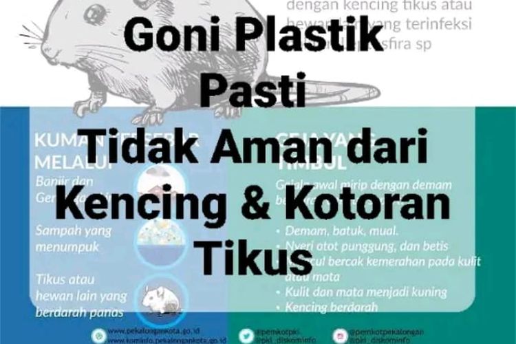 Ramai Unggahan Soal Jangan Beli Beras Dalam Bungkus Karung Goni Karena Tercemar Kotoran Tikus