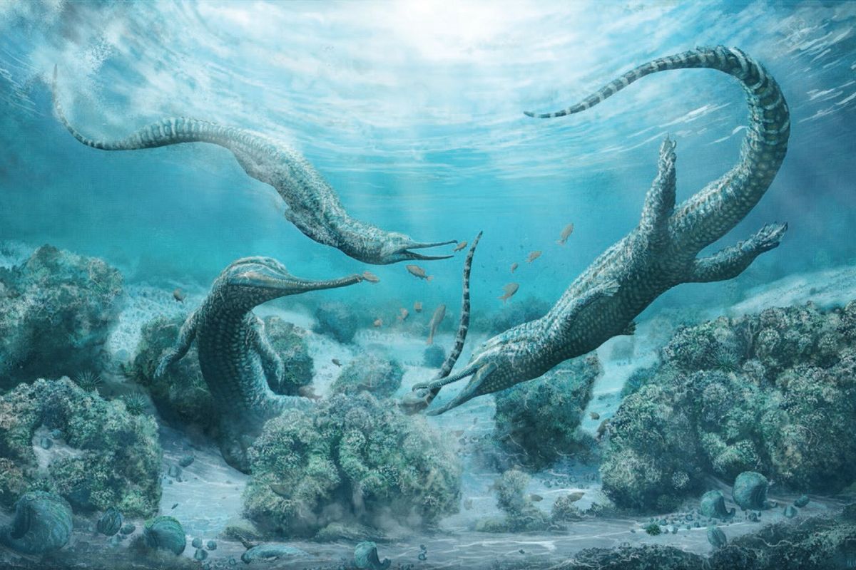 Ilustrasi dari spesies phytosaurus yang baru ditemukan, Mystriosuchus steinbergeri. Binatang mirip buaya ini hidup 210 juta tahun yang lalu di tempat yang sekarang bernama Austria.