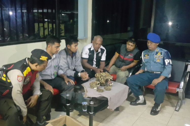 Kepala harimau sumatera dan kepala macan tutul diamankan di kantor Balai Gakkum seksi wilayah I Palangkaraya.