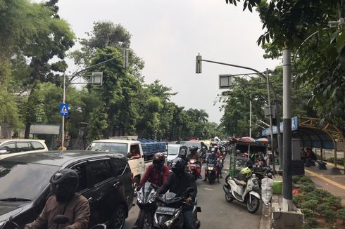 Pohon Tumbang di Depan Stasiun Universitas Pancasila, Lalu Lintas yang Sempat Macet kini Sudah Terurai