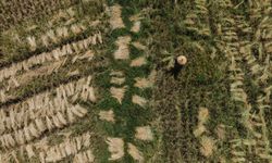 Patahkan Stigma, Inilah Kisah Kolaborasi Petani dengan Industri Tambang yang Bertanggung Jawab