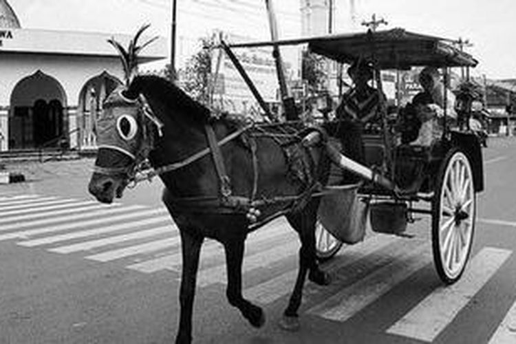 Kereta Kuda Sewaan Seperti Dokar Di Yogyakarta