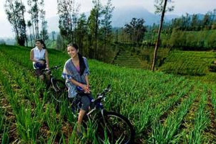 Bersepeda di Bromo.