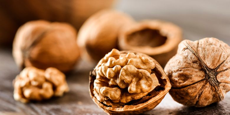 Ilustrasi walnut alias kacang kenari