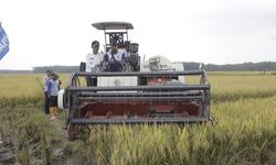 Acara Panen Padi Nusantara Satu Juta Hektar, Petani Kabupaten OKI Berhasil Panen 11.964 Hektar