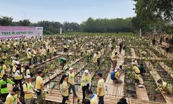 Aeon Environmental Foundation Lanjutkan Misi Hijau, Tanam Ribuan Mangrove di PIK Jakarta