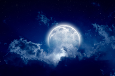 Resep Saus Lemon Udang Bakar, Cuma Pakai 7 Bahan