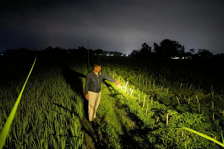 Berita Terkini Harian Polsek Jepon Terbaru Hari Ini - Kompas.com