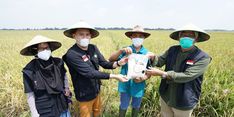 Maksimalkan 200 Hektar Sawah Di Cirebon, Dompet Dhuafa Kolaborasi dengan 173 Petani