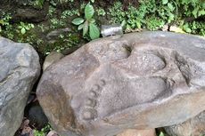 Batu Jejak Kaki Pernah Ditemukan di Lokasi Penemuan Patung Ganesha di Tasikmalaya