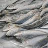 Cegah Dampak Corona, KKP Pantau Harga dan Ketersediaan Ikan