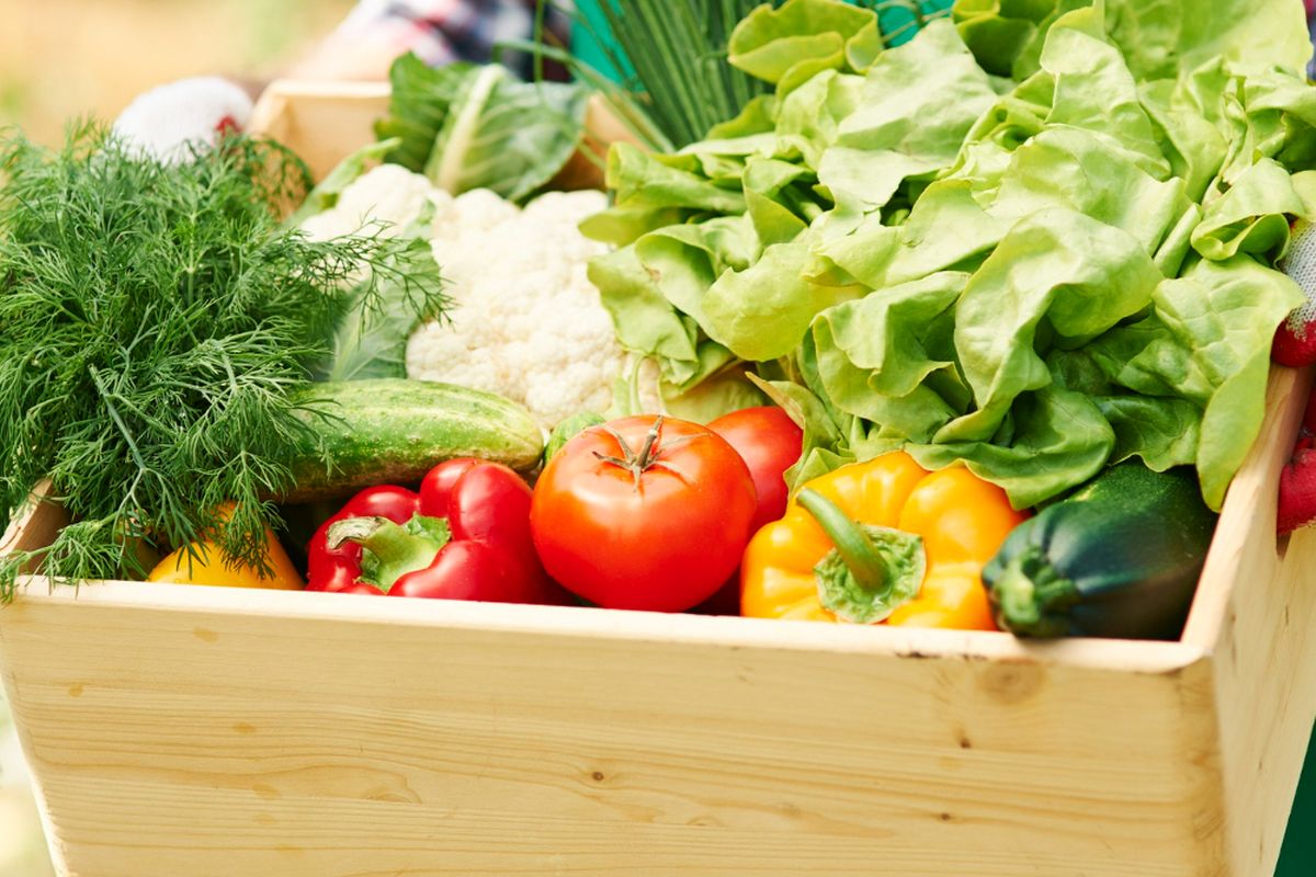 Ilustrasi sayuran yang sudah dikemas.