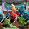Jaga Ketahanan Pangan, Mbak Ita dan TP-PKK Semarang Ajak Masyarakat Tanam Selada dan Cabai