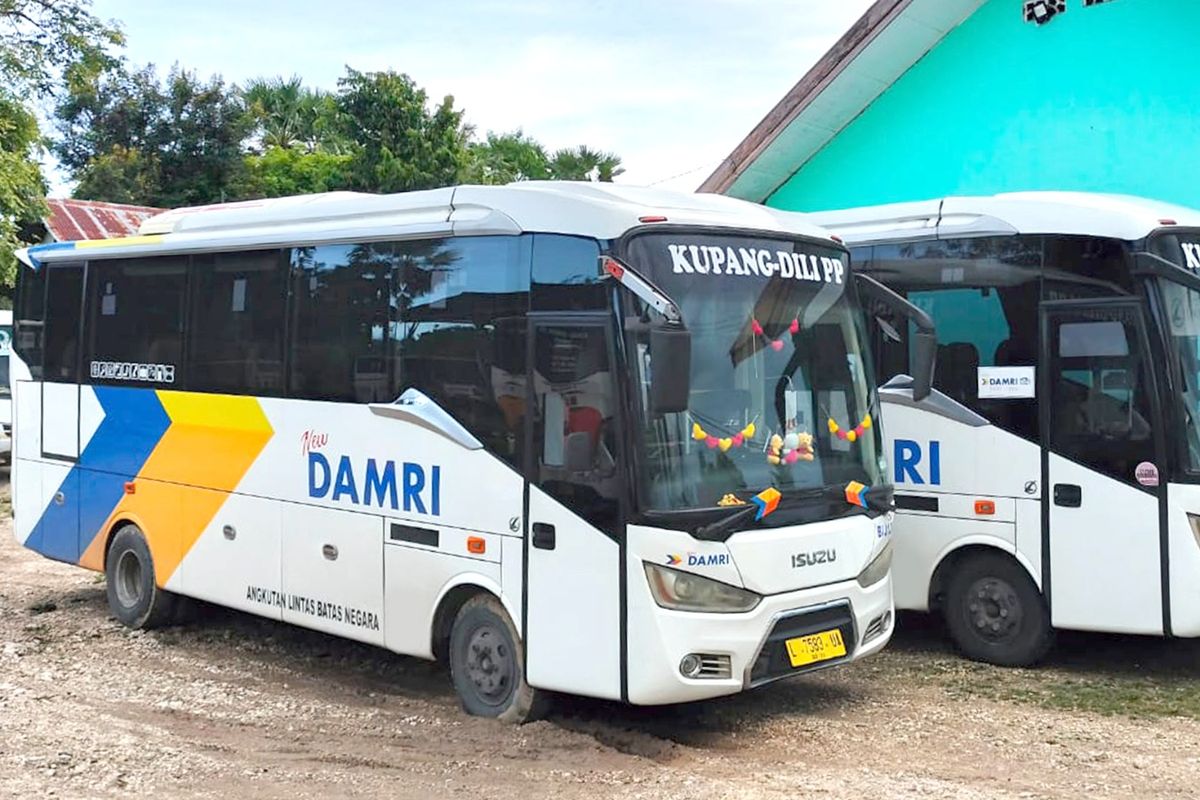 Bus DAMRI untuk rute Kupang ?Dili 