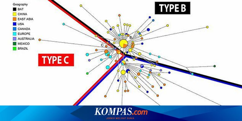 Peneliti Temukan 3 Varian Virus Corona Penyebab Covid 19 Apa Saja Halaman All Kompas Com
