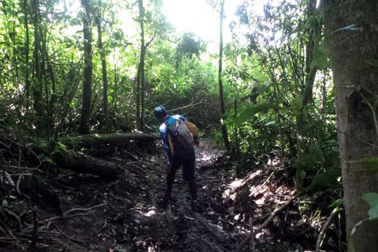 Pendaki melewati jalur pendakian yang berlumpur saat mendaki Gunung Talang, Solok, Sumatera Barat, Rabu (1/6/2016).  Jalur pendakian Gunung Talang didominasi tanah, lumpur, dan batu kerikil menjelang puncak.