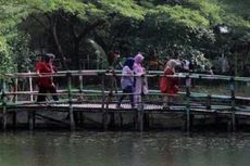 Hutan Kota Pakal di Surabaya: Daya Tarik, Harga Tiket, dan Rute
