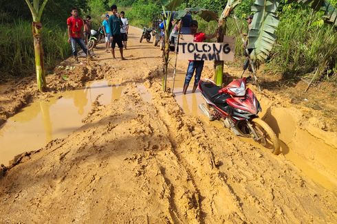 Kesal Bertahun-tahun Jalan Rusak di Kutai Timur Tak Diperbaiki, Warga Tanami Pohon Pisang