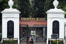 Kebun Raya Bogor Buka Kembali, Pesan Tiket Online Dulu