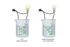 Perbedaan Elektrolit Kuat dan Lemah