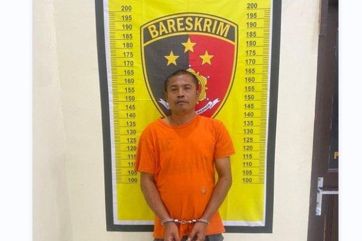 Parlindungan Siregar (45), pria yang membunuh pensiunan pegawai negeri sipil (PNS) bernama Asgim Irianto (60) hingga tewas pada 29 Juli 2024. Pelaku nekat membunuh diduga sakit hati kerap ditanya kenapa belum menikah. 
