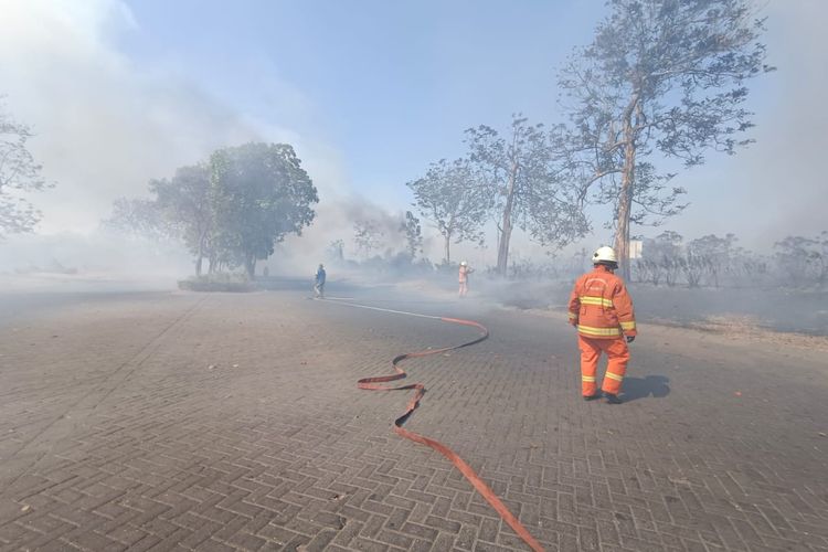 Lahan alang-alang 4,5 hektar di Surabaya terbakar hingga asap ke jalan