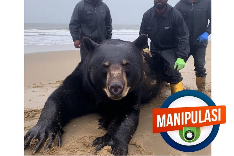 Manipulasi, foto buatan AI menunjukkan beruang hitam besar ditangkap oleh tiga pria dewasa
