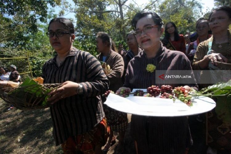 Ritual manten kopi di Kebun Kopi Karanganjar di Kecamatan Nglegok, Kabupaten Blitar, Jawa Timur.