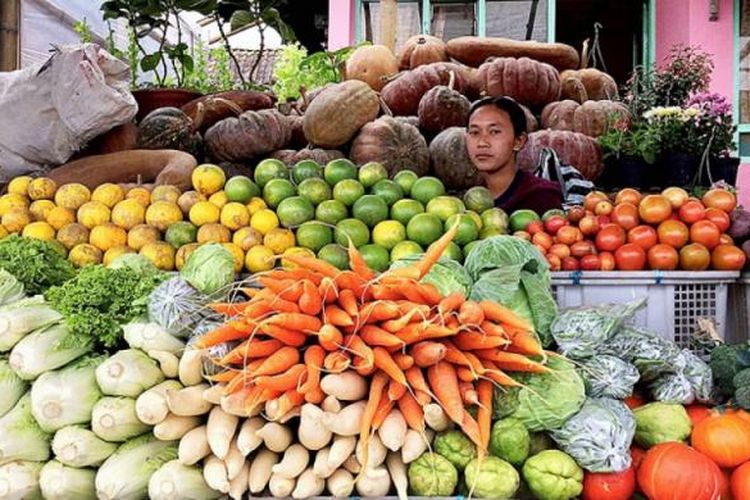 Sayur organik menjadi komoditas unggulan petani di Dusun Sidomukti, Desa Kopeng, Kecamatan Getasan, Kabupaten Semarang, Sabtu (11/2/2017). Sayur itu diekspor ke berbagai kota/kabupaten di Jawa Tengah. 