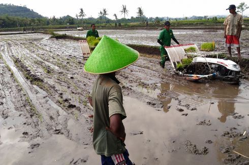  Modernisasi Pertanian untuk Sejahterakan Petani