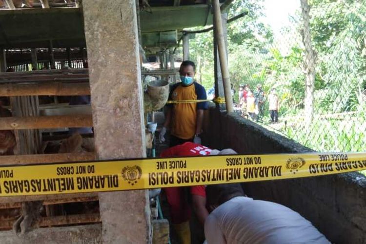Kondisi korban tewas dalam kandang ayam Pedukuhan Kaliwinong Lor, Kalurahan Srikayangan, Kapanewon Sentolo, Kabupaten Kulon , Daerah Istimewa Yogyakarta. Diduga korban tersetrum.