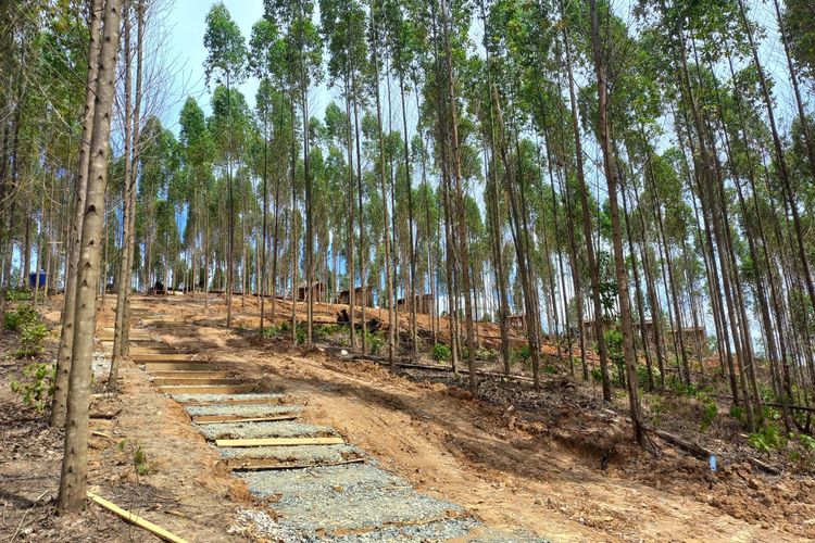 Lokasi puncak di kawasan ibu kota negara yang bakal dibangun istana negara, Sepaku, Kaltim, Sabtu (19/3/2022).