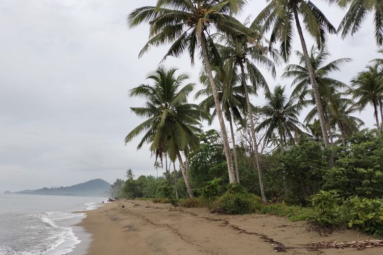 Pantai Tanjung Binerean, Kabupaten Bolaang Mongondow Selatan yang menjadi habitat maleo dan penyu. Lokasi ini masuk kawasan ekosistem esensial (KEE).