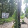 Sensasi Melewati Jalanan Rusak Cabak-Bleboh di Blora yang Ditanami Banyak Pohon Pisang
