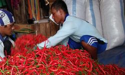 Hadapi Pandemi Covid-19, Kementan Gandeng Startup Pasarkan Hasil Panen Petani 