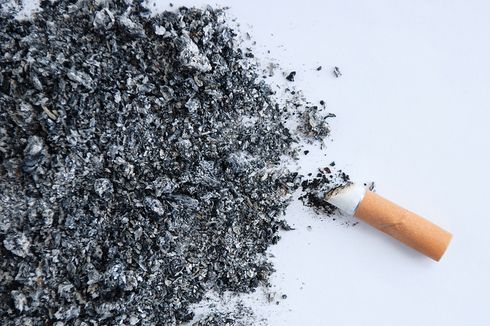 TikTok Larang Influencer Australia Promosikan Produk Kantong Nikotin 