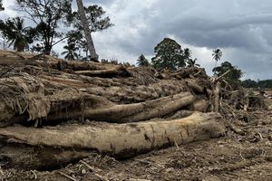Pascabanjir dan Longsor, 45 Desa di Tapanuli Masih Terisolasi, Berikut Daftarnya