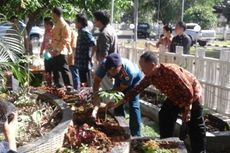 Gubernur Bengkulu Imbau Petani Lebih Baik Tanam Pala