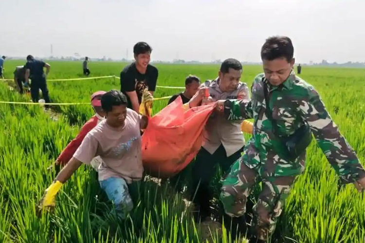 Kronologi Perangkat Desa di Pekalongan Ditemukan Tewas di Sawah, Pelaku Ditangkap dalam Hitungan Jam