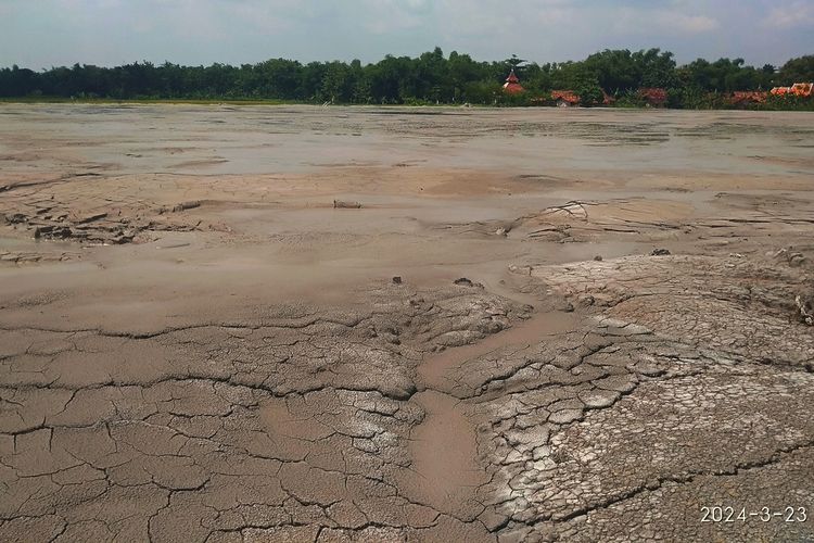 Obyek wisata Baby Volcano atau biasa disebut Bledug Cangkring di Desa Grabagan, Kecamatan Kradenan, Kabupaten Grobogan, Jawa Tengah tak lagi bergejolak memuntahkan lumpur cair, Sabtu (23/3/2024).